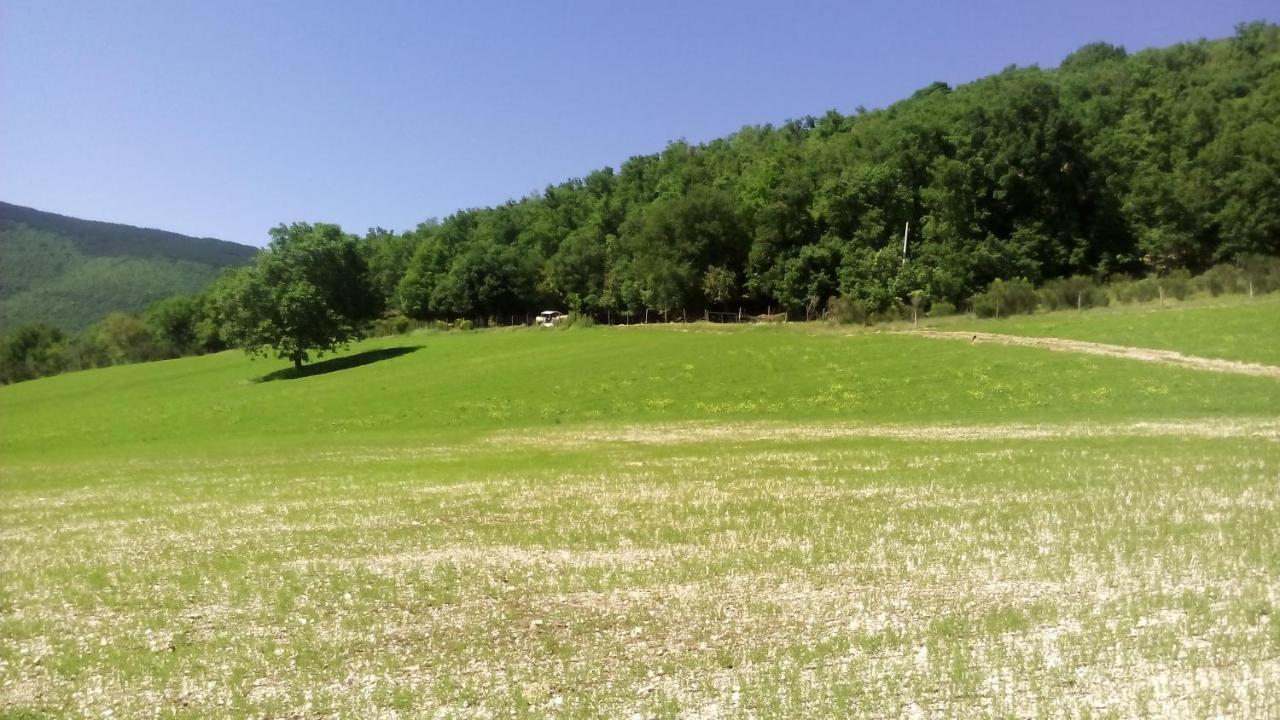 Agriturismo Il Casale Degli Amici Nórcia Exterior foto