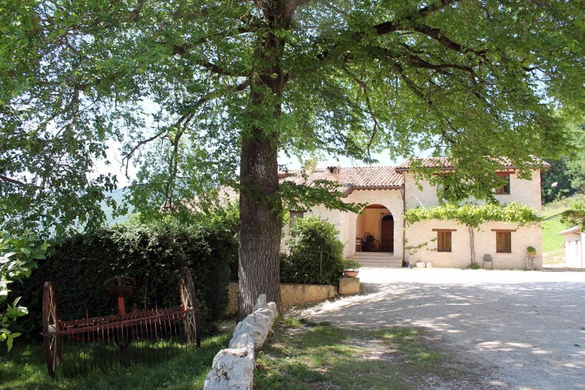 Agriturismo Il Casale Degli Amici Nórcia Exterior foto
